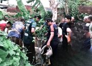 Proses Evakuasi Oleh Petugas Damkar Sumenep Berjalan Dramatis, Berikut Kronologinya