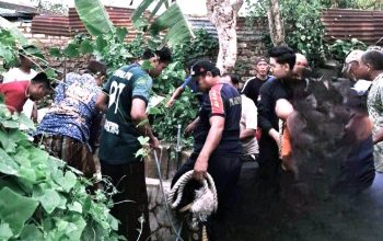 Proses Evakuasi Oleh Petugas Damkar Sumenep Berjalan Dramatis, Berikut Kronologinya