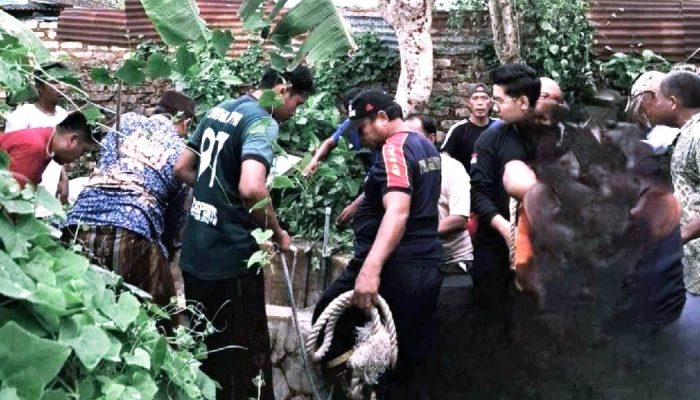 Proses Evakuasi Oleh Petugas Damkar Sumenep Berjalan Dramatis, Berikut Kronologinya